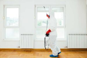 Say Goodbye to Pests With Expert Pest Control Solutions for a Healthy Home